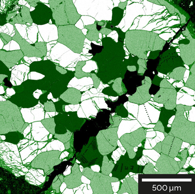 Magnesium distribution in a peridotite xenolith from alkaline basalts. 