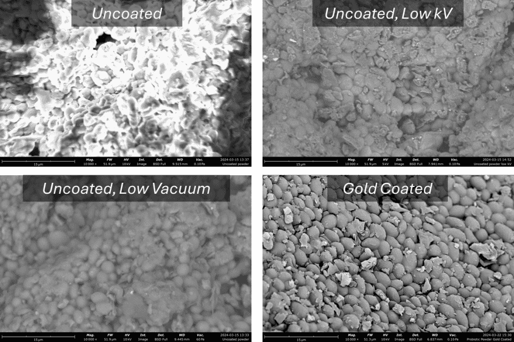 SEM image comparison au coated v uncoated 4
