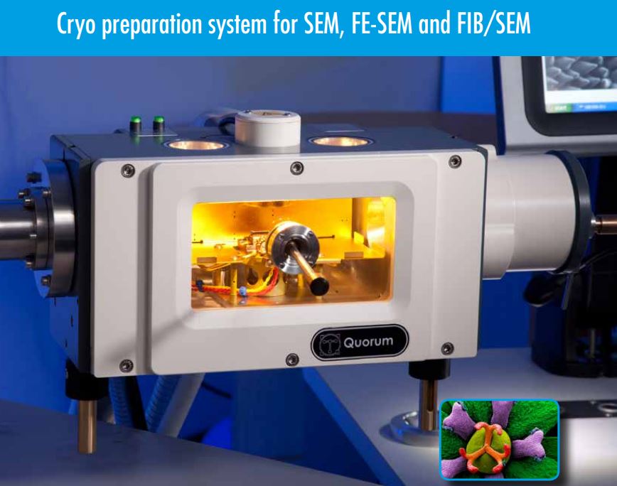 Cryo preparation system