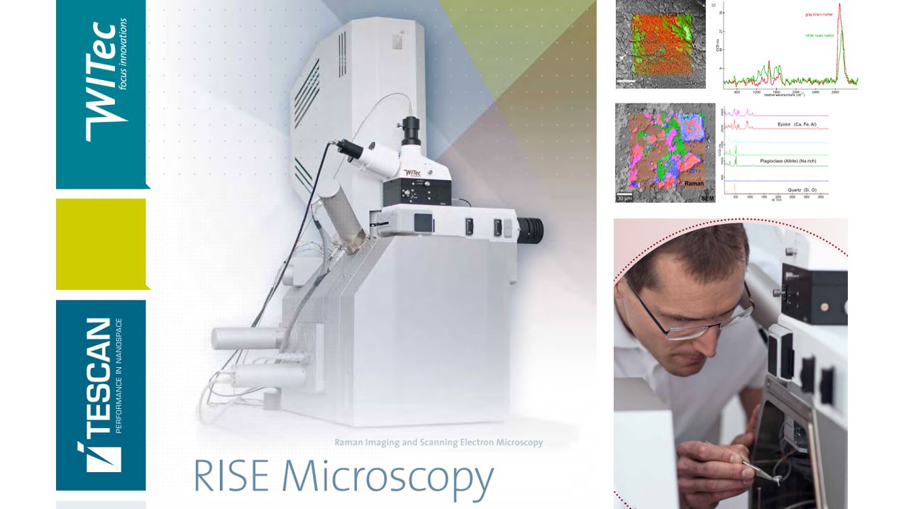 RISE – Giải pháp tương quan Raman–SEM trong phân tích cấu trúc và thành phần hóa học