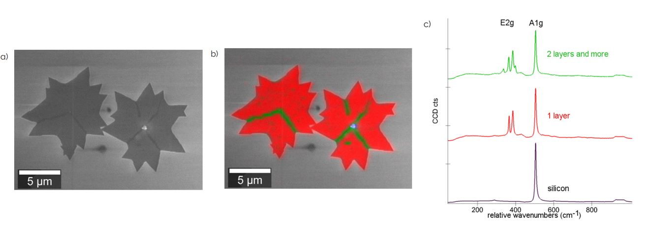 Fig 7.a SEM image of MoS2 twin crystals b Raman spectra