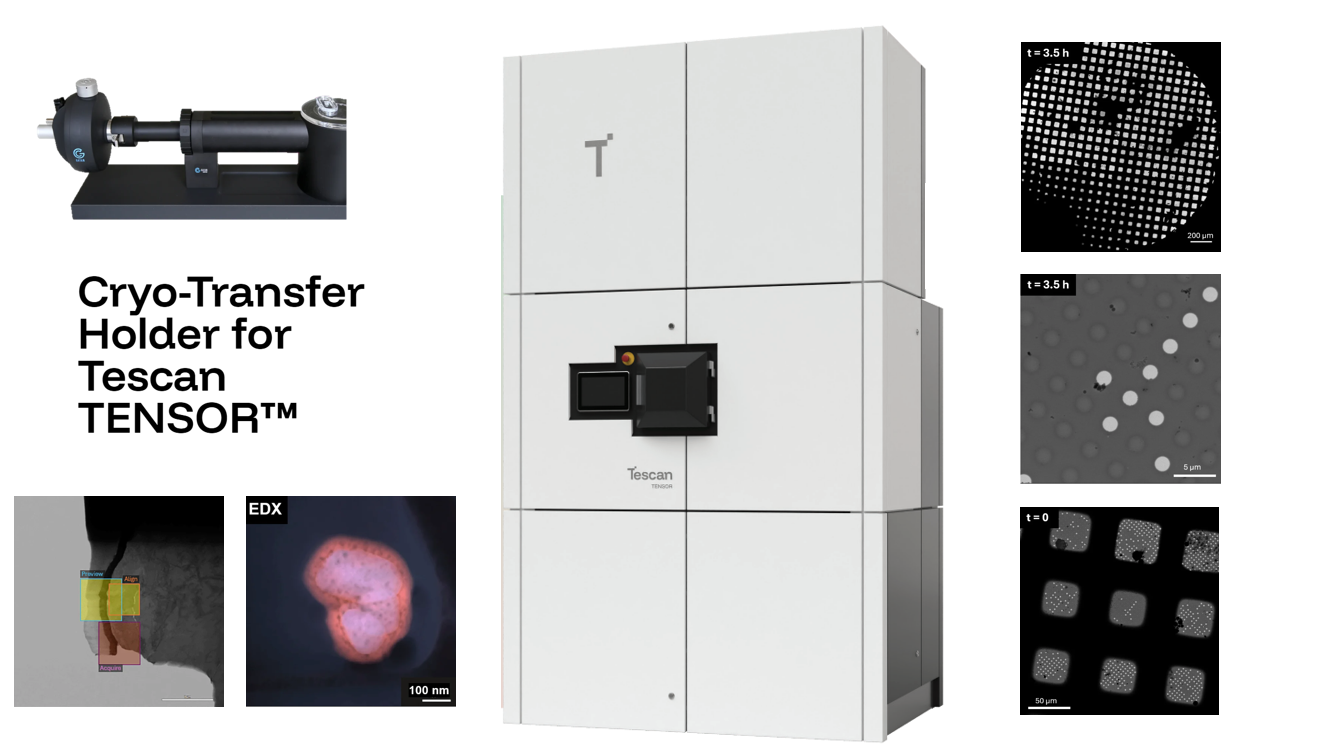 Giải pháp Cryo-EM cho phân tích đặc trưng 4D-STEM đối với mẫu nhạy với chùm tia