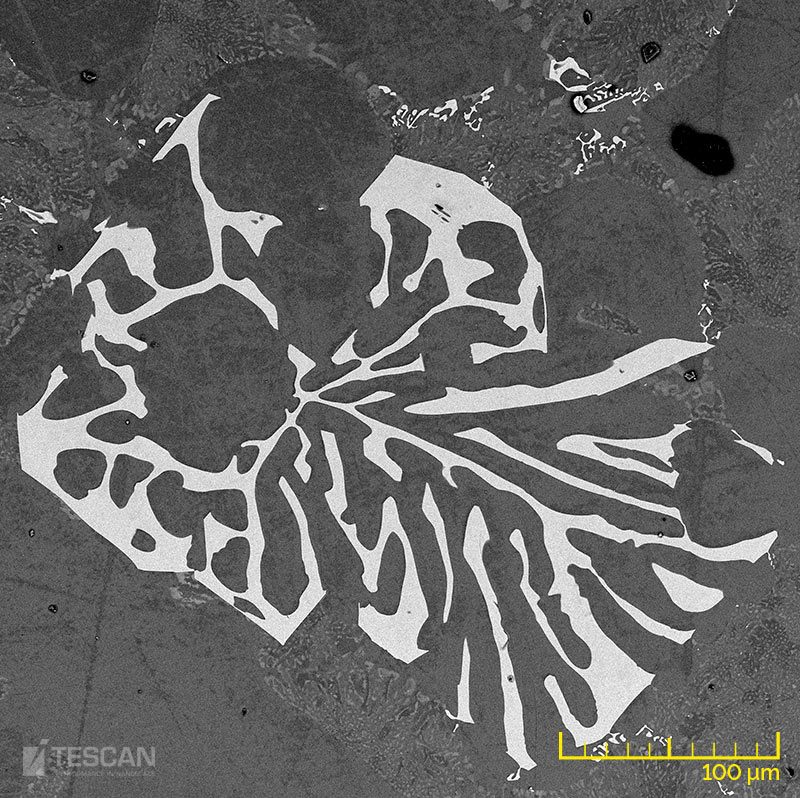 AlSi10 Metallographic sample etched (chụp bằng Kính hiển vi điện tử quét SEM TESCAN)