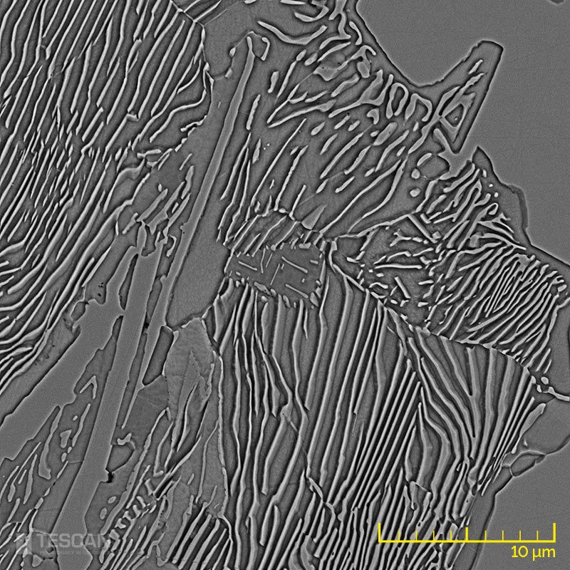 White cast iron Metallographic sample etched (chụp bằng Kính hiển vi điện tử quét SEM TESCAN)